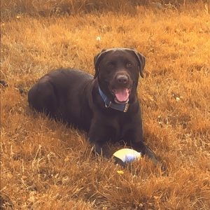 Meet your Posher, Ruben